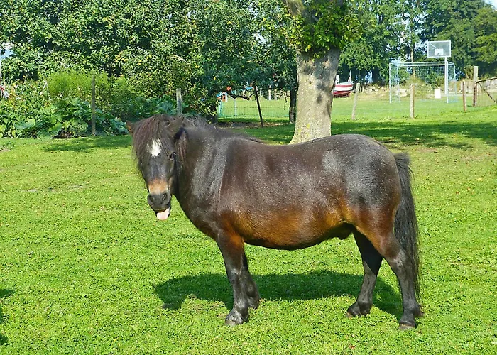 Apartamento Sternenhimmel