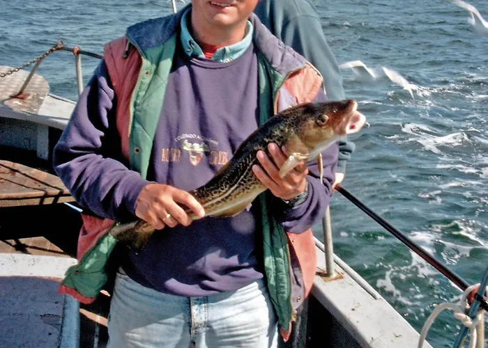 Sternenhimmel Apartamento *